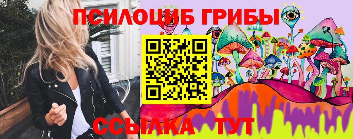 Каменск-Шахтинский  Псилоцибиновые грибы Magic Shrooms  Псилоцибиновые грибы Psilocybe  наркотики  Вход с VPN 