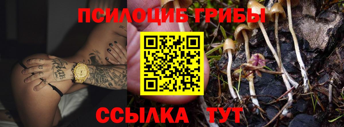 Галлюциногенные грибы ЛСД Каменск-Шахтинский
